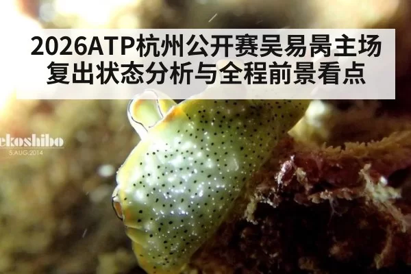 2026ATP杭州公开赛吴易昺主场复出状态分析与全程前景看点